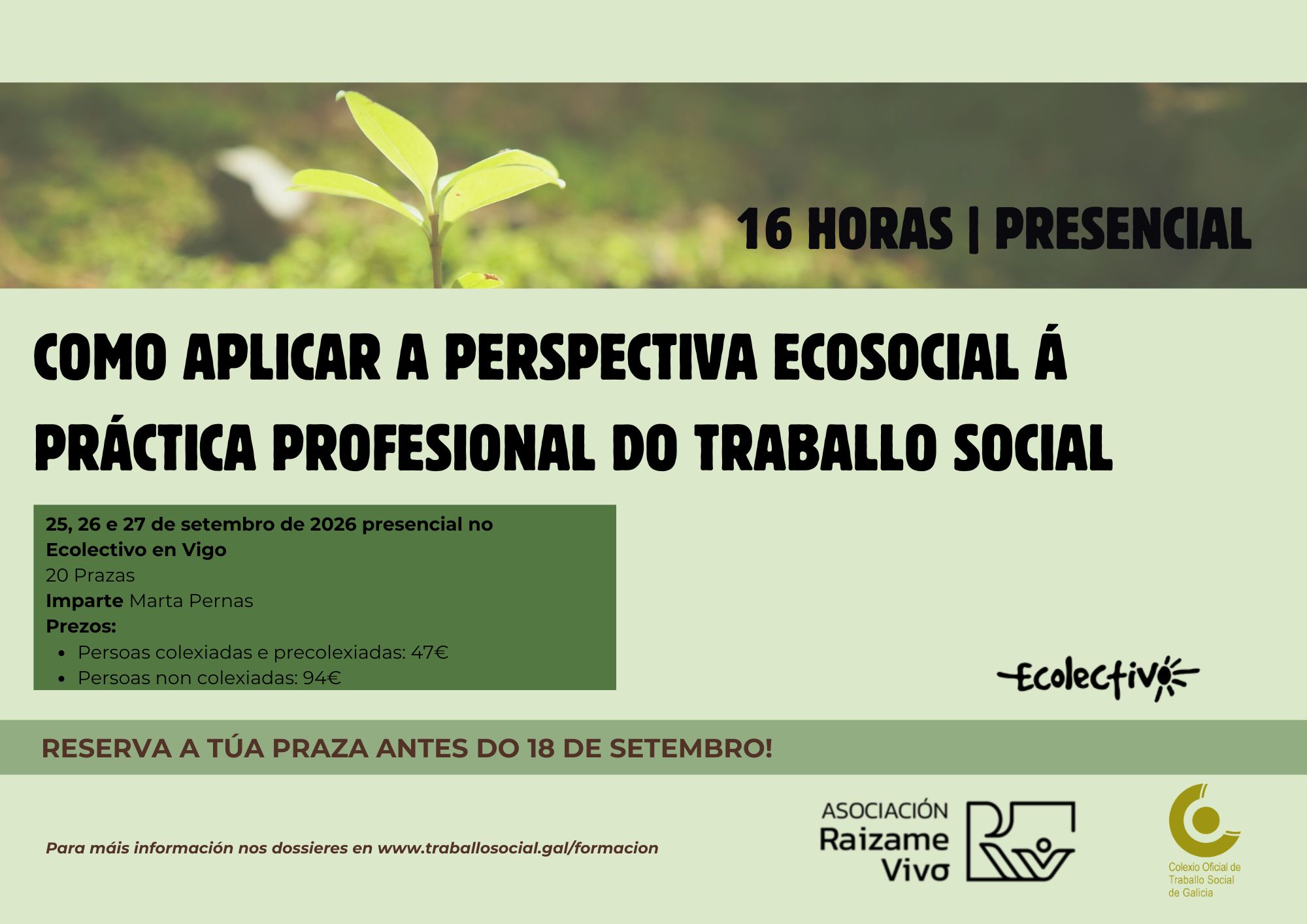 Como aplicar a perspectiva ecosocial á práctica profesional do Traballo Social
